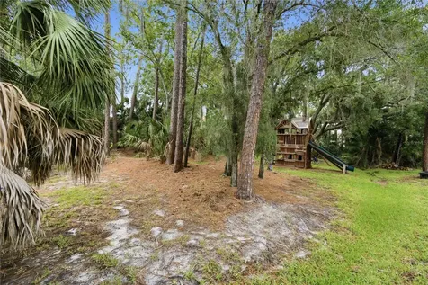 1332 Preservation Way Oldsmar FL 34677