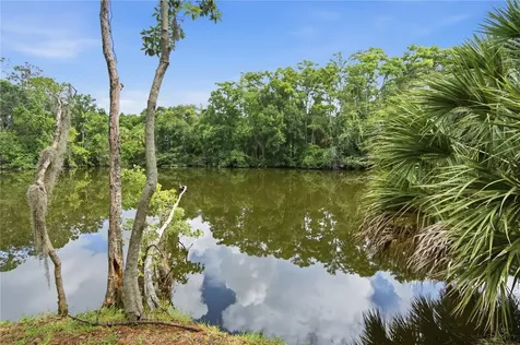1332 Preservation Way Oldsmar FL 34677