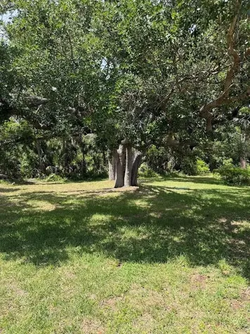 833 Jolanda Circle Venice FL 34285