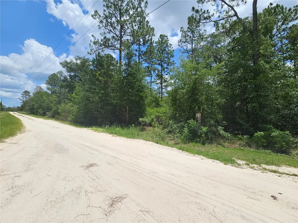 0000 NE 40th Lane Williston FL 32696