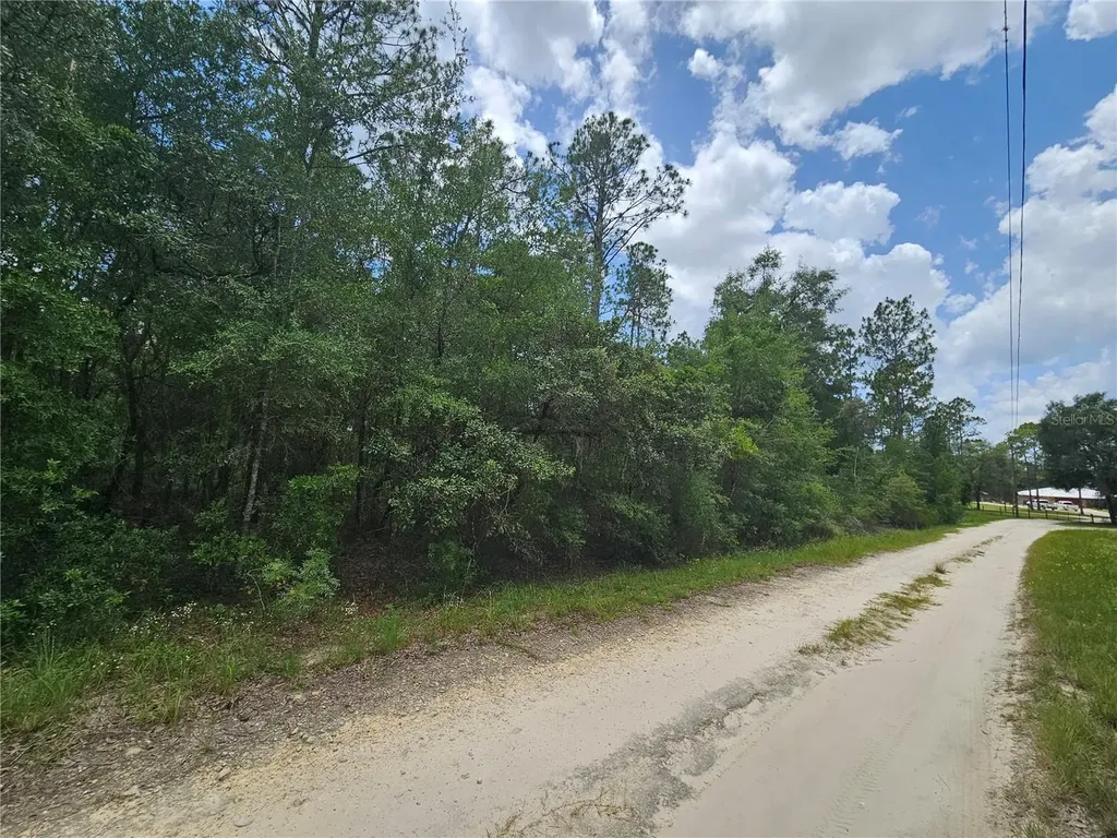 0000 NE 40th Lane Williston FL 32696