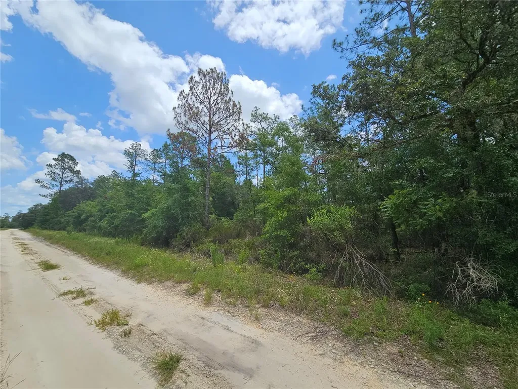 0000 NE 40th Lane Williston FL 32696