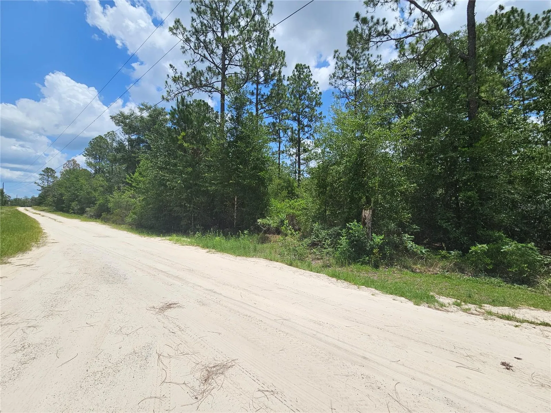 0000 NE 40th Lane Williston FL 32696