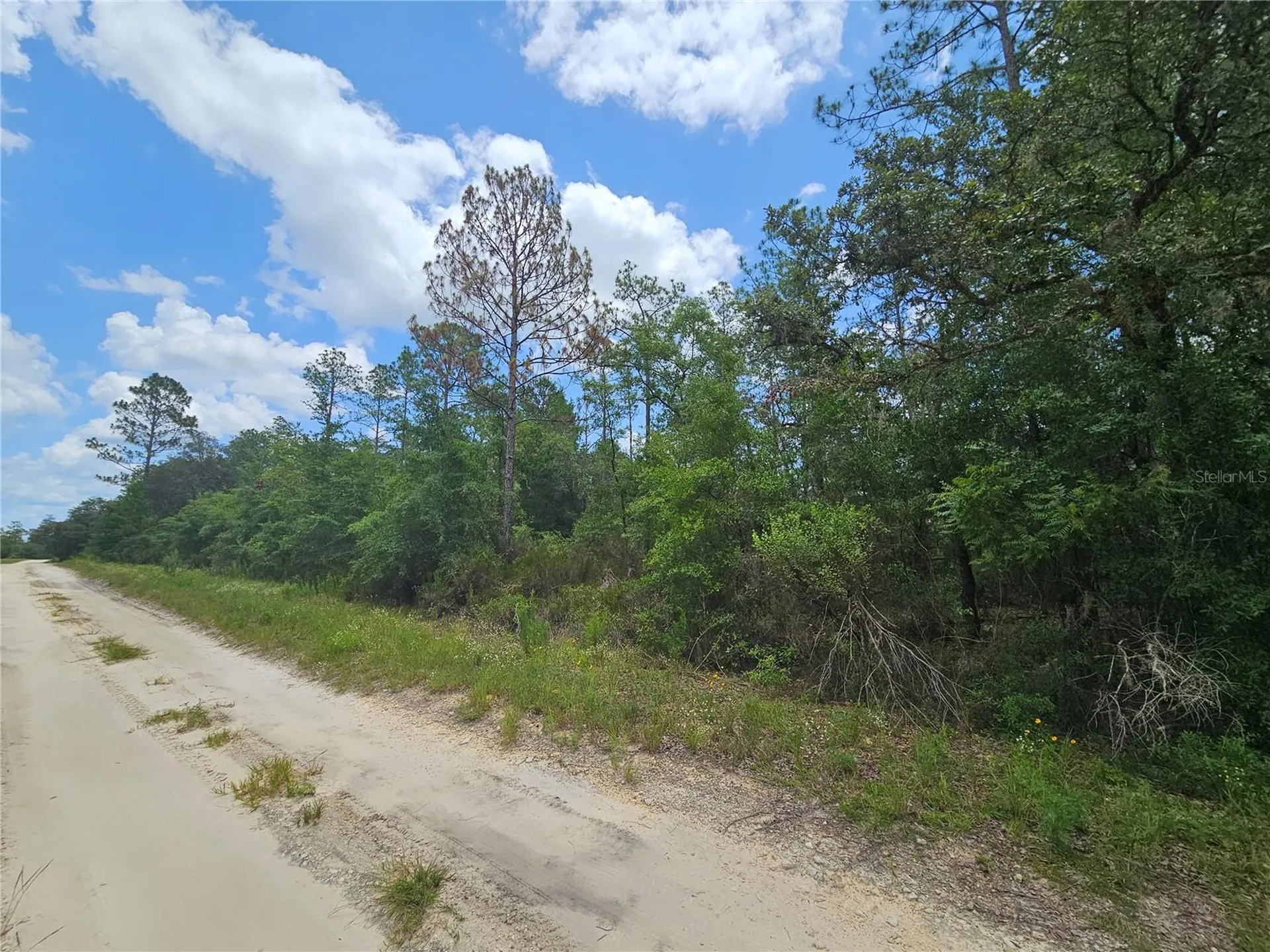 0000 NE 40th Lane Williston FL 32696