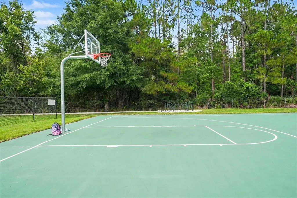 26351 Whirlaway Terrace Wesley Chapel FL 33544
