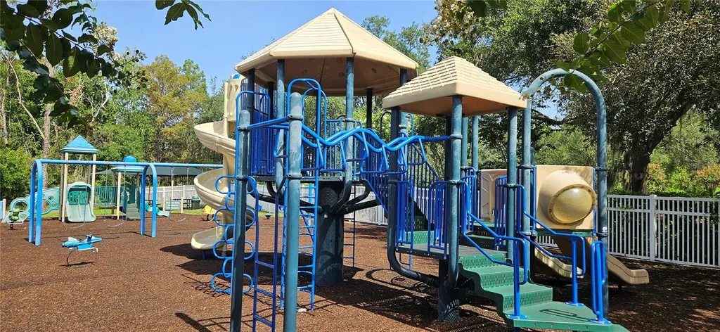 26351 Whirlaway Terrace Wesley Chapel FL 33544