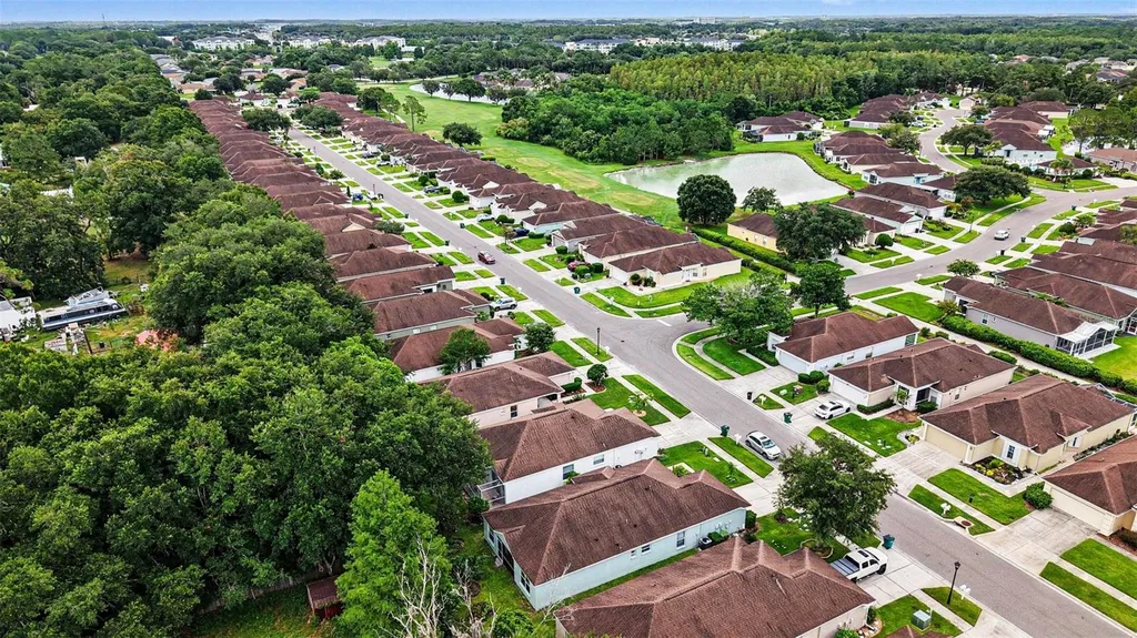 26351 Whirlaway Terrace Wesley Chapel FL 33544