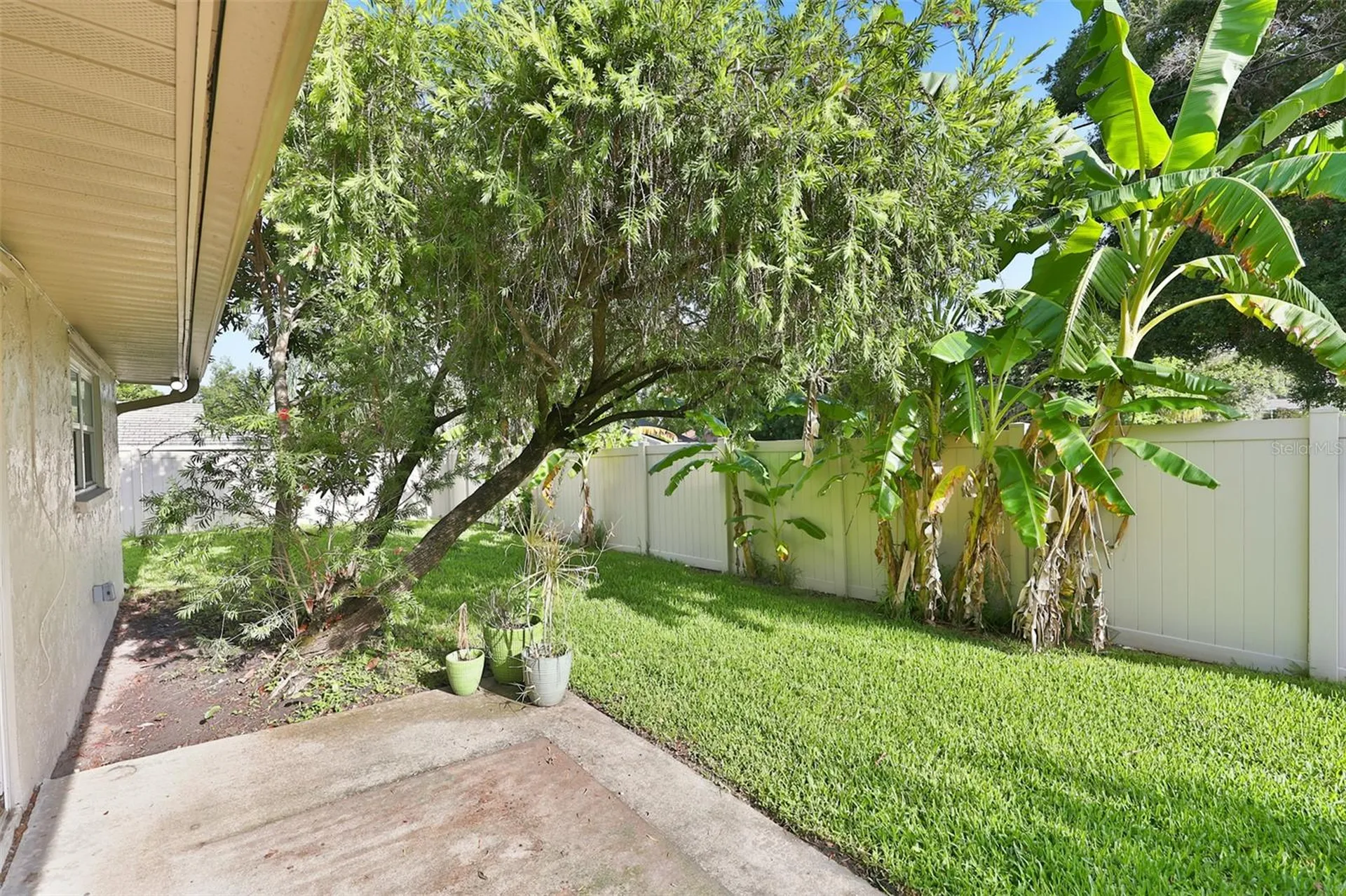2186 Marshall Drive Dunedin FL 34698
