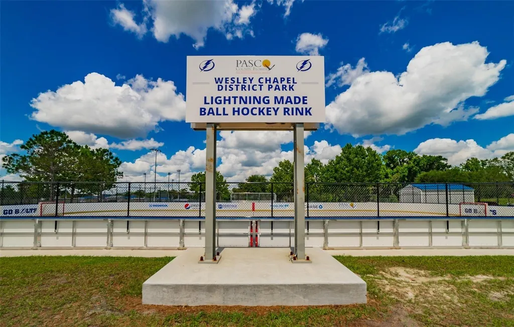 9138 Forge Breeze Loop Wesley Chapel FL 33545