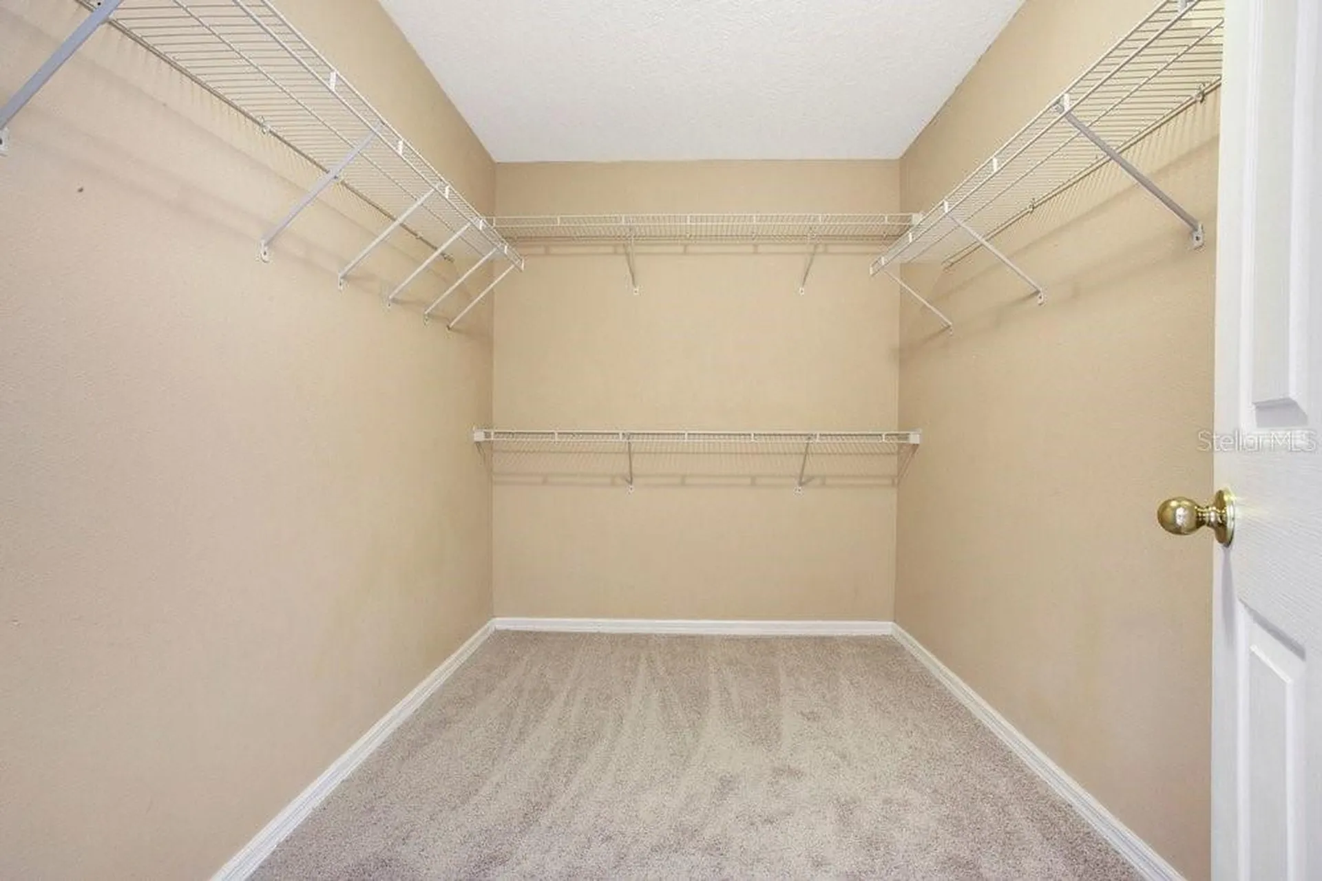 2205 Glossy Privet Drive Orlando FL 32828