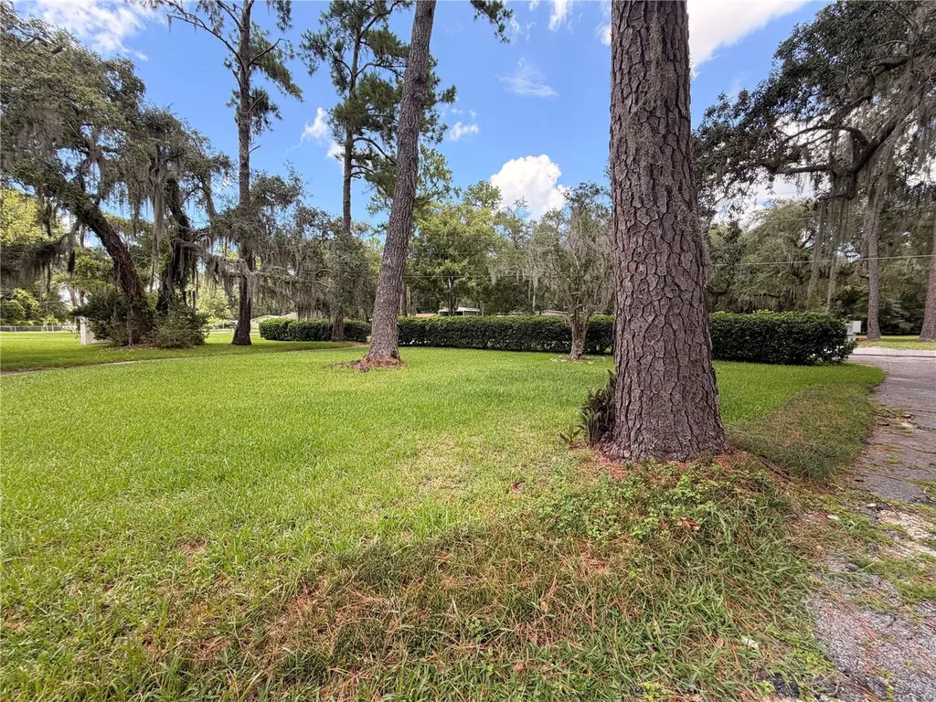 1940 Alice Drive Astor FL 32102