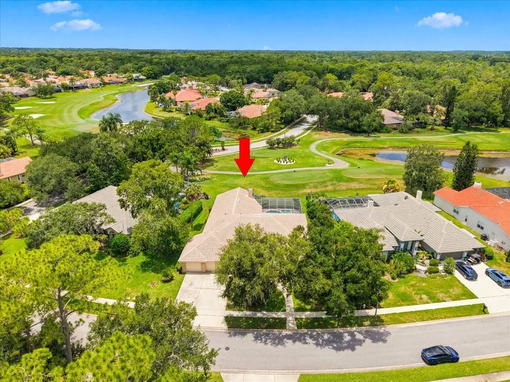 85 Kelleys Trail Oldsmar FL 34677