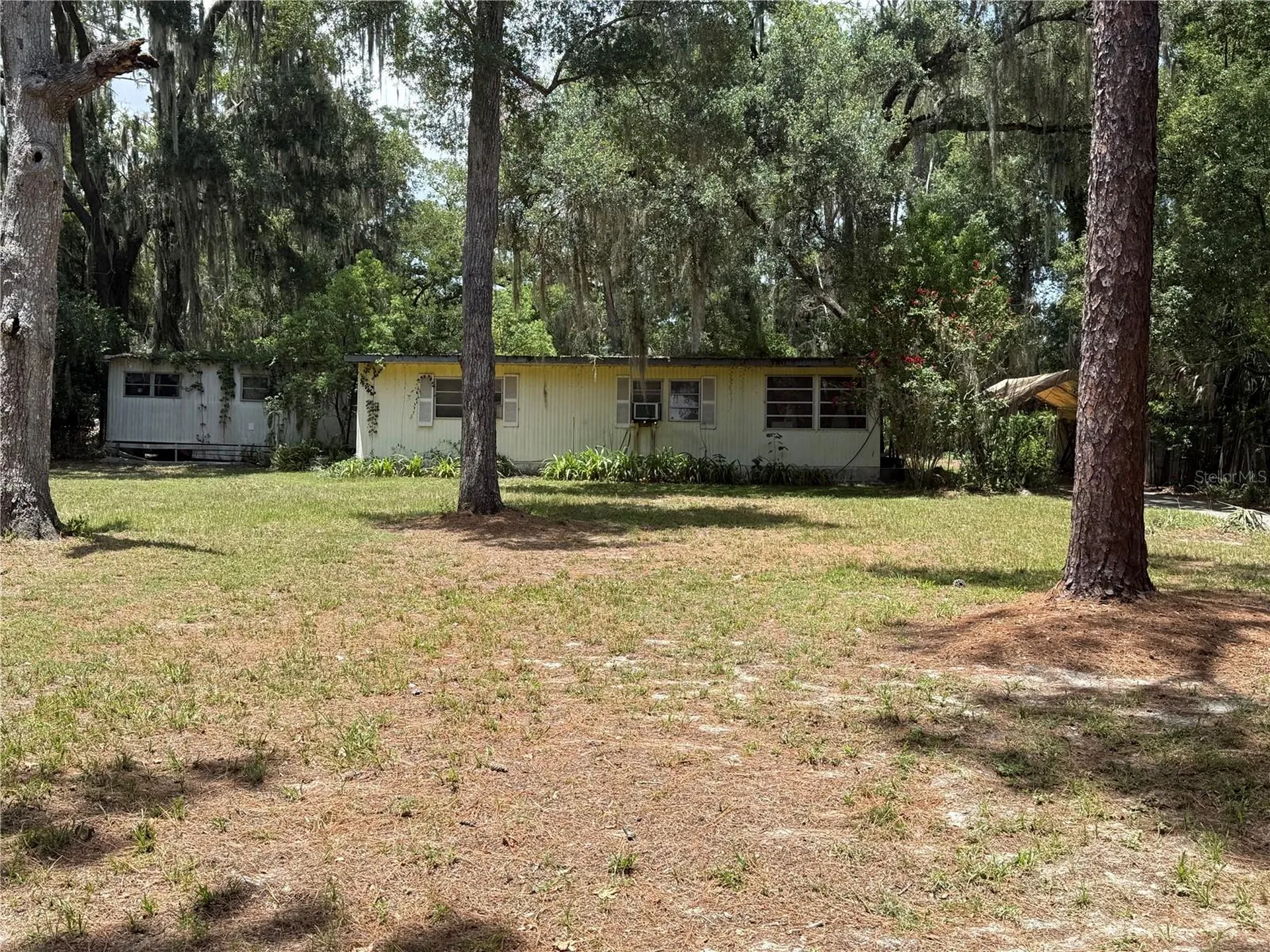 259 W Mcclendon Street Lady Lake FL 32159