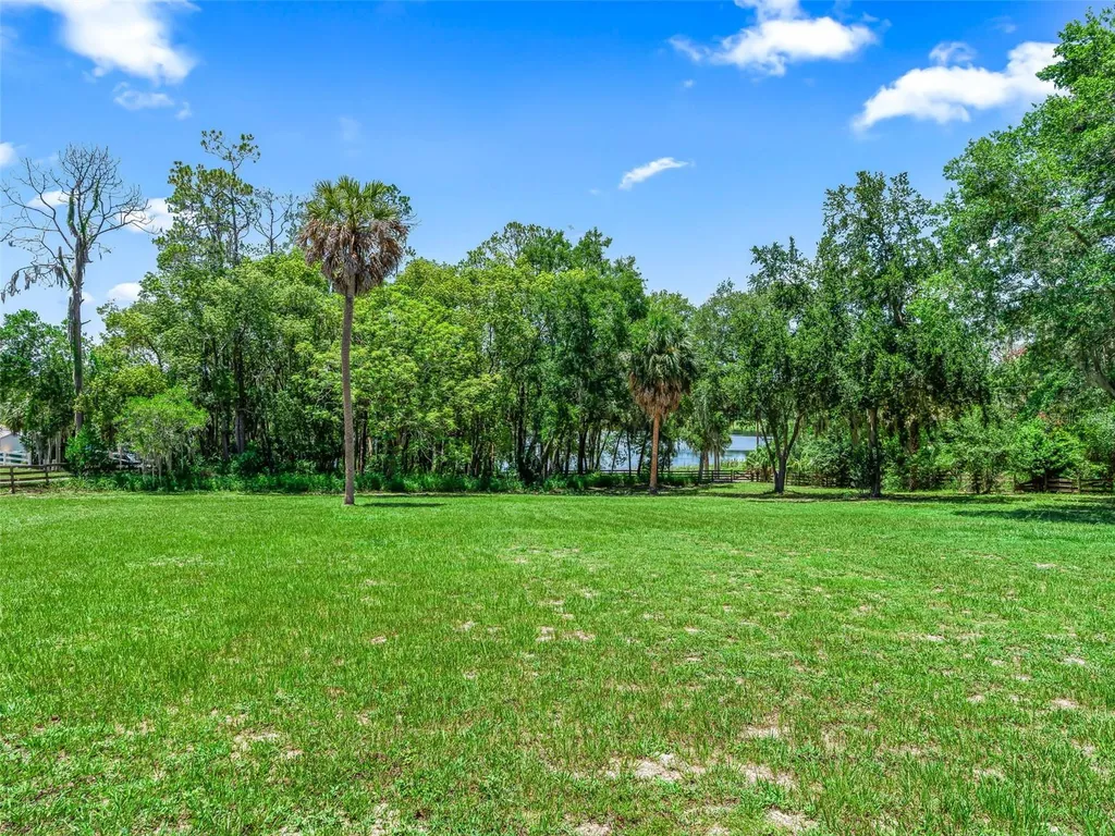 511 E Mirror Lake Drive Fruitland Park FL 34731