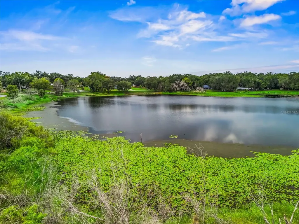 511 E Mirror Lake Drive Fruitland Park FL 34731