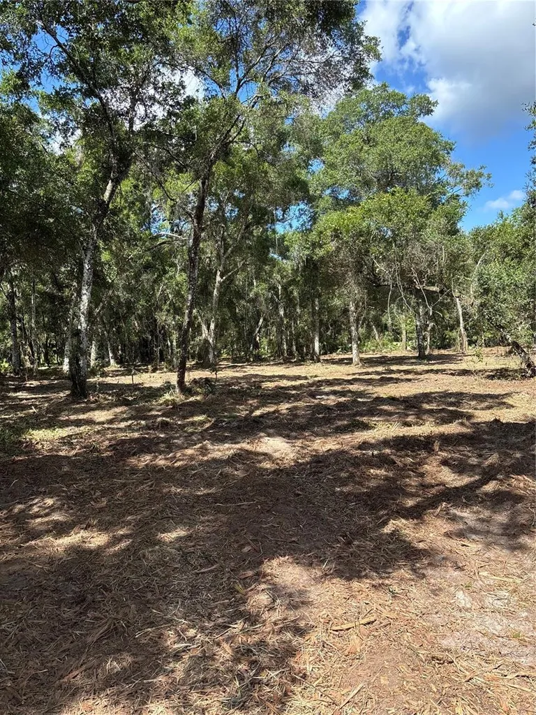 450 Old Geneva Road Geneva FL 32732