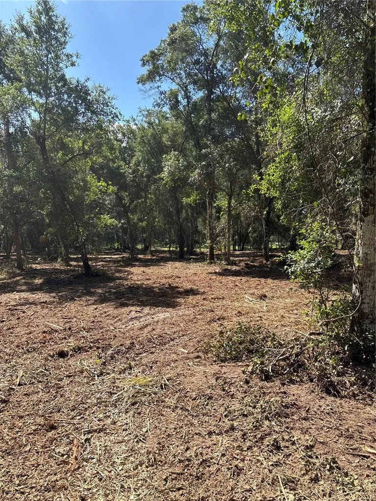 450 Old Geneva Road Geneva FL 32732