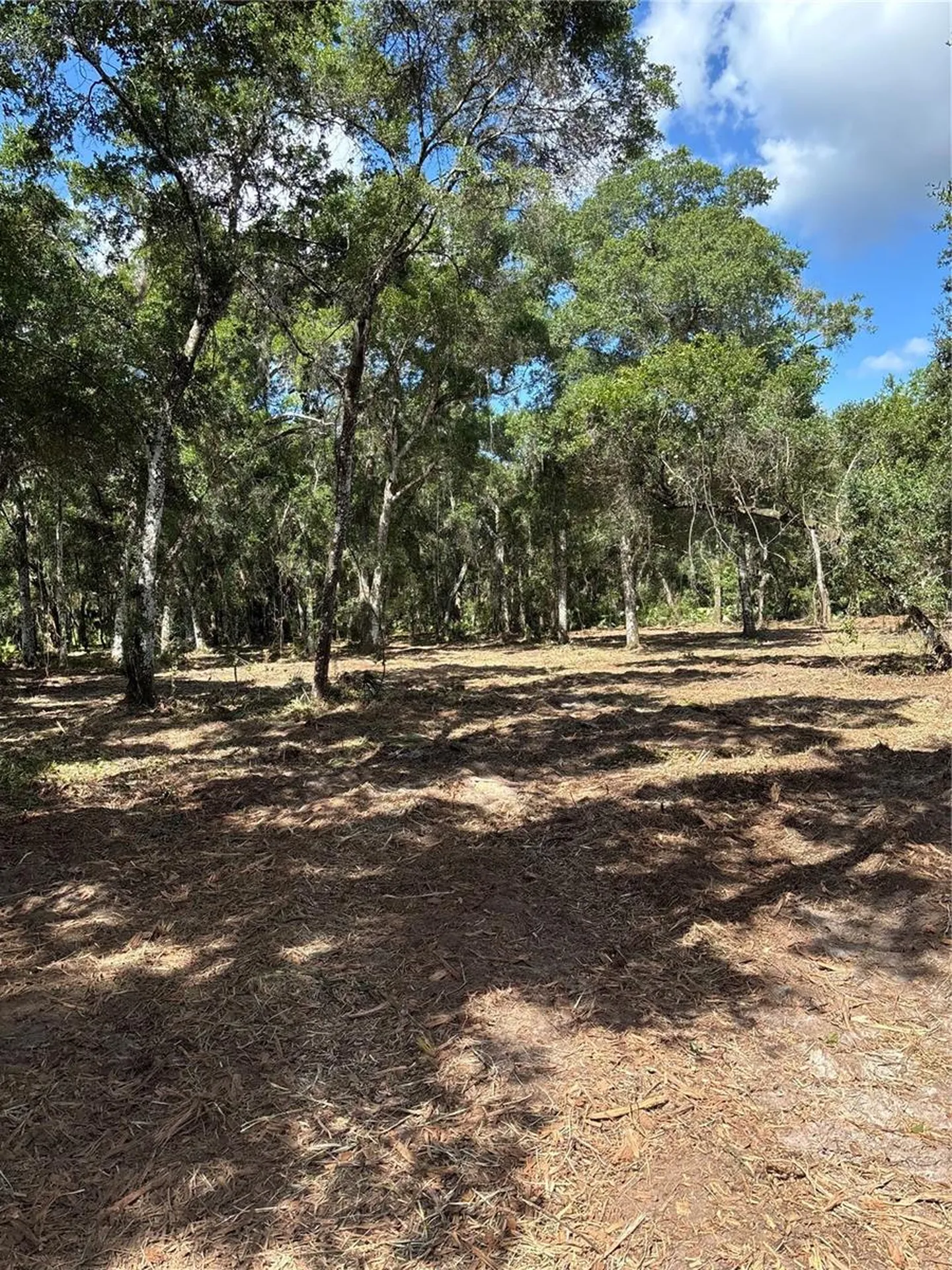 450 Old Geneva Road Geneva FL 32732