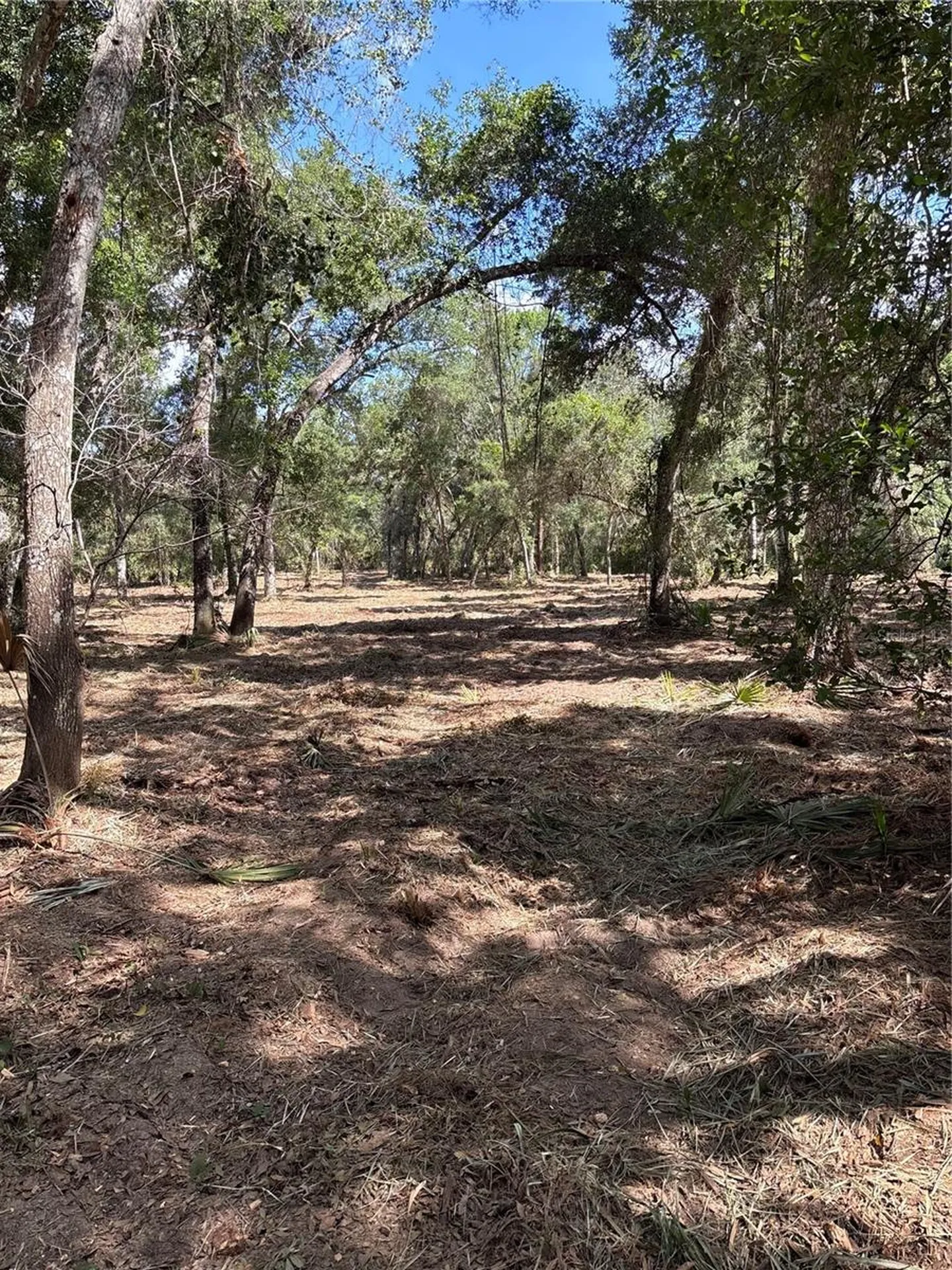 450 Old Geneva Road Geneva FL 32732