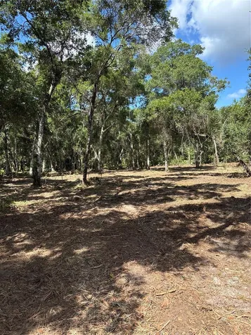 450 Old Geneva Road Geneva FL 32732