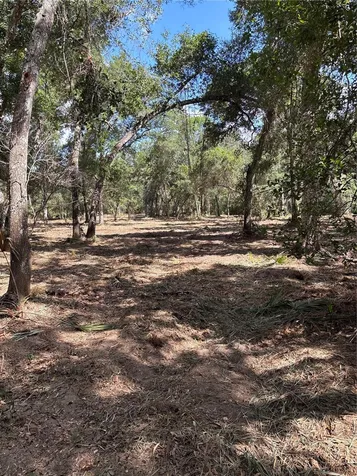 450 Old Geneva Road Geneva FL 32732