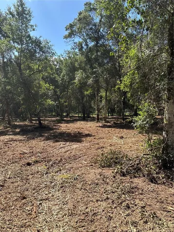 450 Old Geneva Road Geneva FL 32732