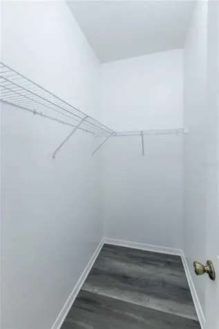 2852 Tanzanite Terrace Kissimmee FL 34758