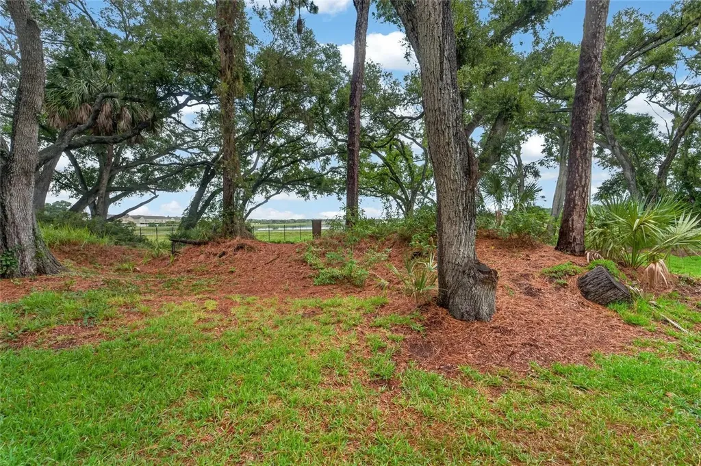 2005 River Turia Circle Riverview FL 33578