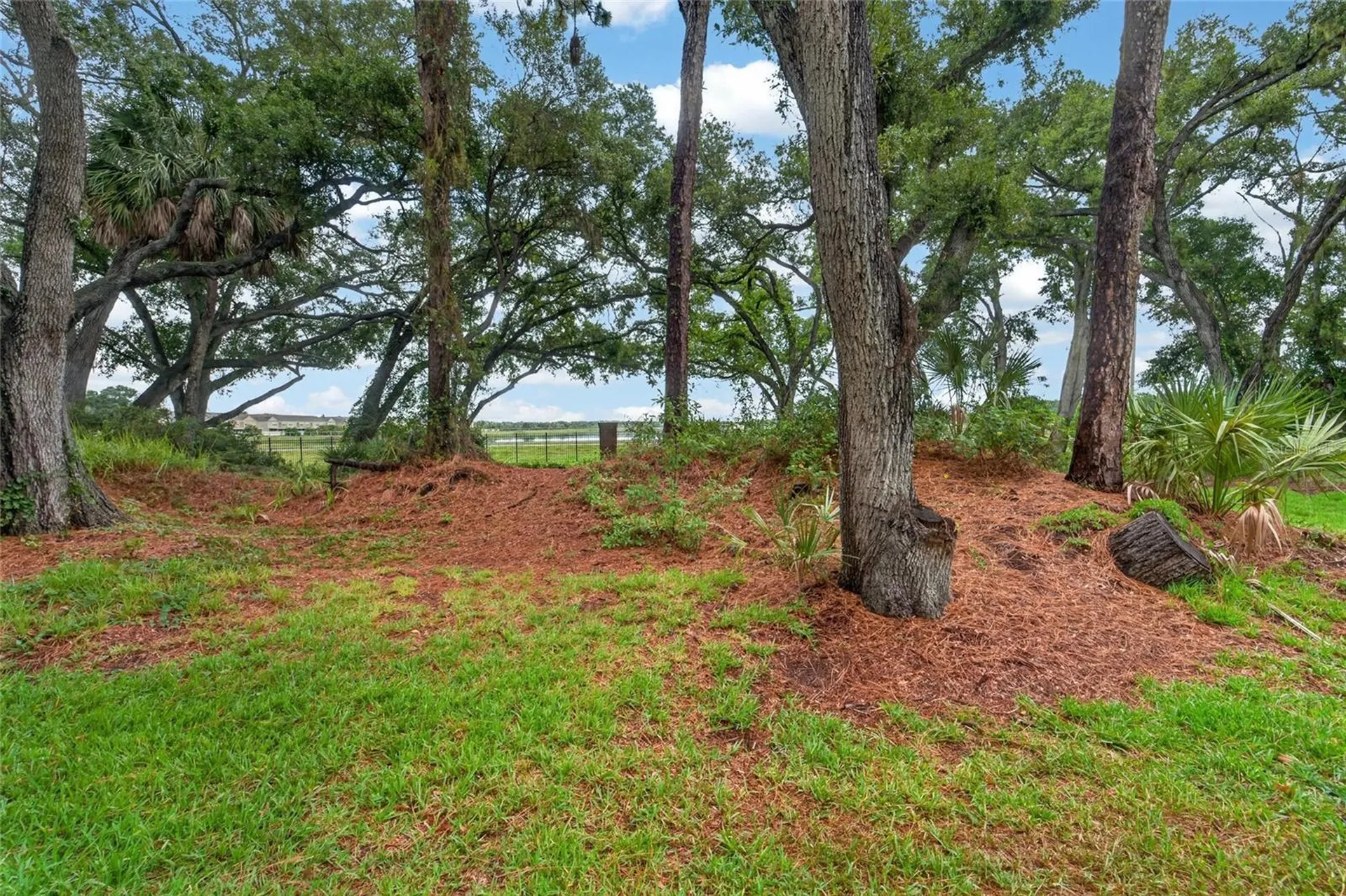 2005 River Turia Circle Riverview FL 33578