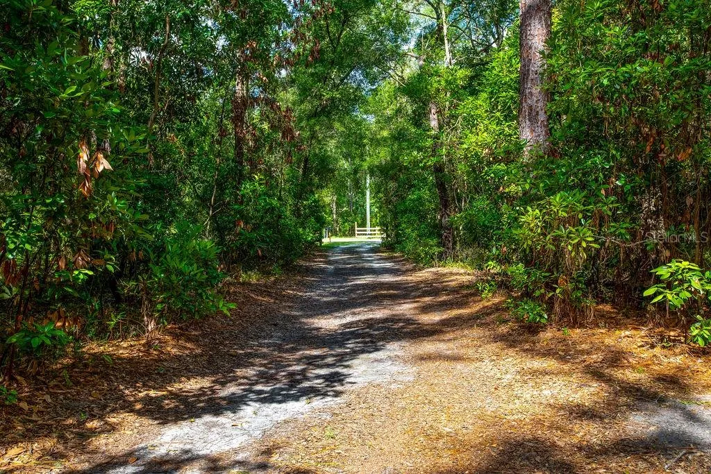 15713 NW 268th Terrace High Springs FL 32643