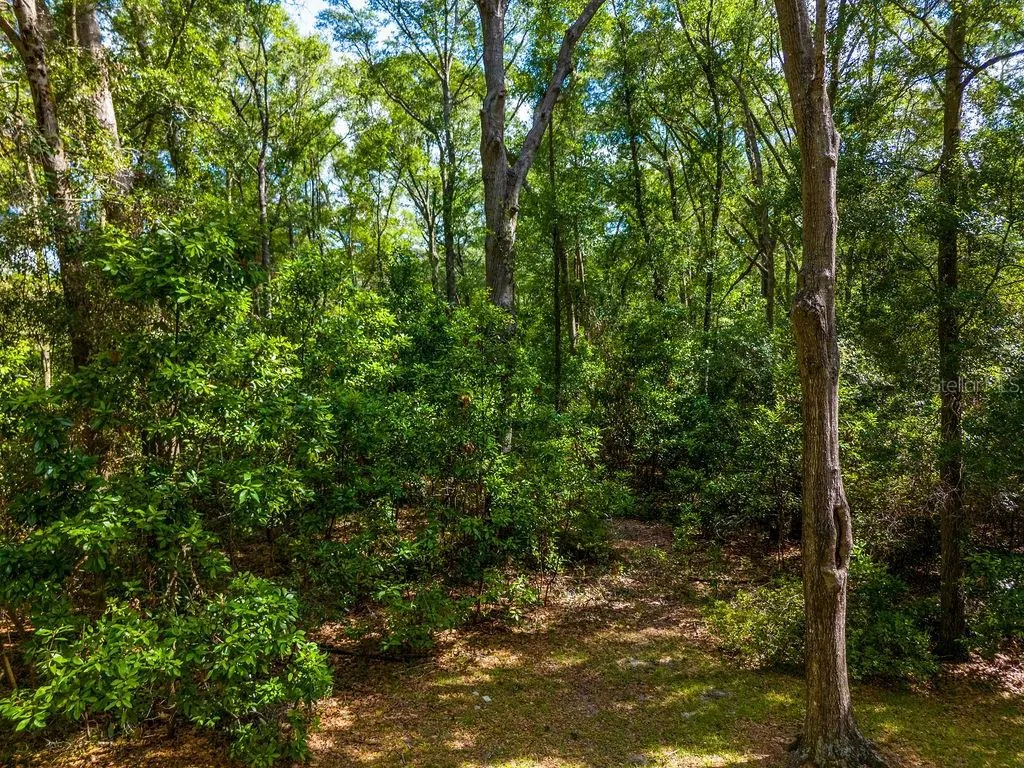 15713 NW 268th Terrace High Springs FL 32643