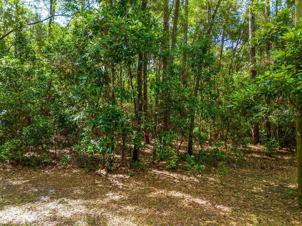 15713 NW 268th Terrace High Springs FL 32643