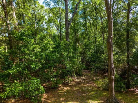 15713 NW 268th Terrace High Springs FL 32643
