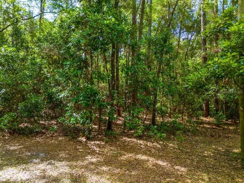 15713 NW 268th Terrace High Springs FL 32643