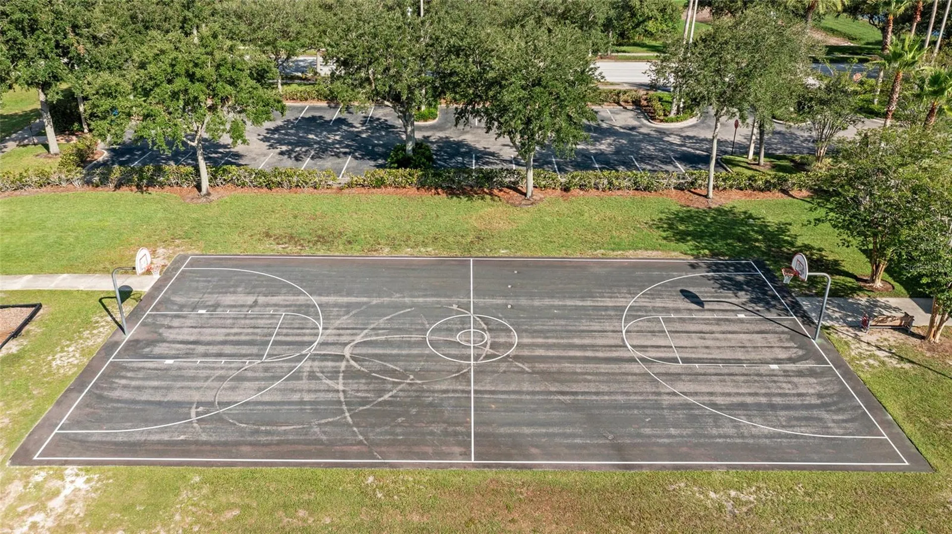 2719 Cypress Bowl Road Lutz FL 33558