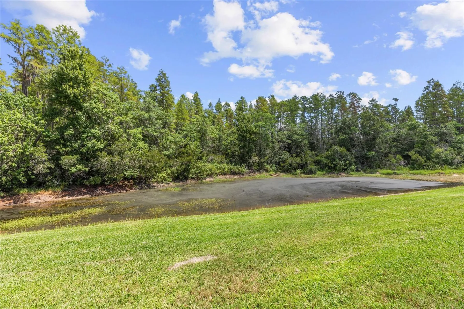 18923 Fishermans Bend Drive Lutz FL 33558