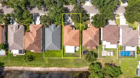 18923 Fishermans Bend Drive Lutz FL 33558