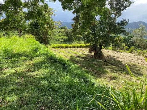 Quebrada Grande Trujillo Alto PR 00976