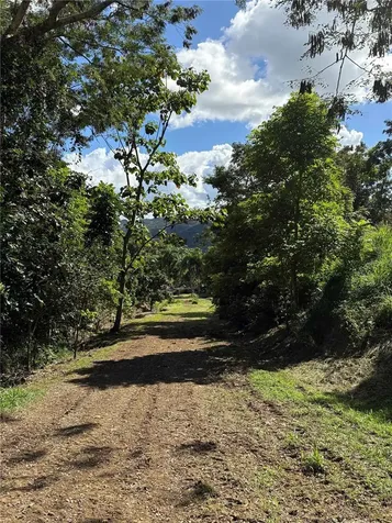 Quebrada Grande Trujillo Alto PR 00976