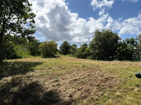 Quebrada Grande Trujillo Alto PR 00976