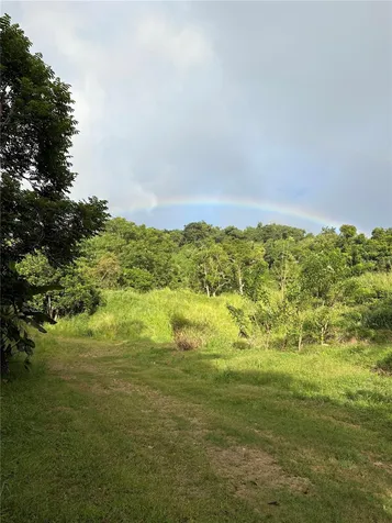 Quebrada Grande Trujillo Alto PR 00976