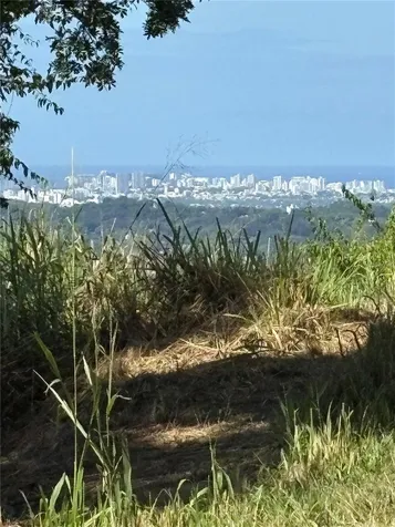 Quebrada Grande Trujillo Alto PR 00976