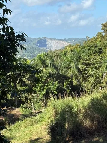 Quebrada Grande Trujillo Alto PR 00976
