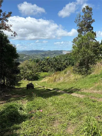 Quebrada Grande Trujillo Alto PR 00976