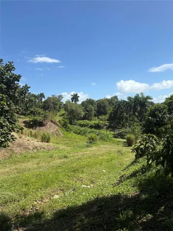 Quebrada Grande Trujillo Alto PR 00976