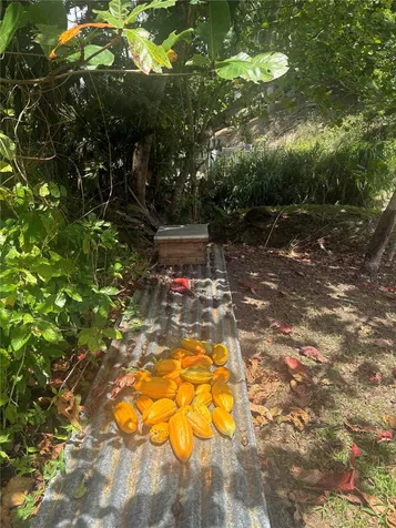 Quebrada Grande Trujillo Alto PR 00976