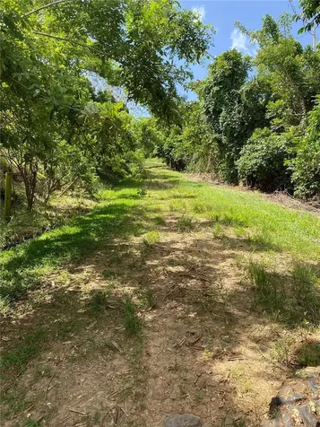 Quebrada Grande Trujillo Alto PR 00976