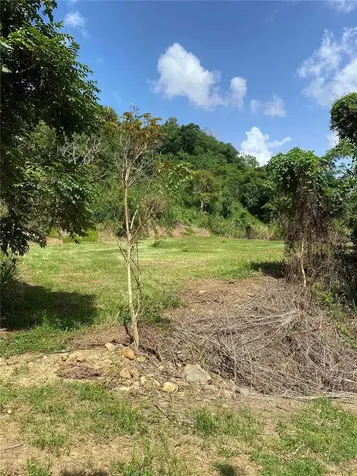 Quebrada Grande Trujillo Alto PR 00976