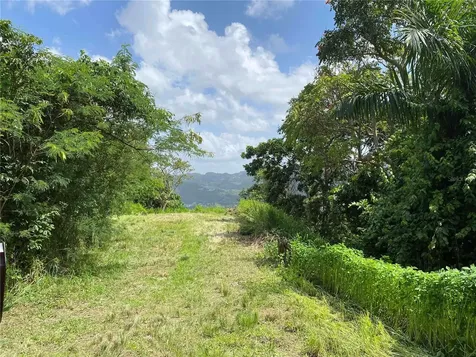 Quebrada Grande Trujillo Alto PR 00976