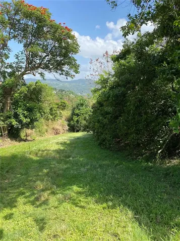 Quebrada Grande Trujillo Alto PR 00976